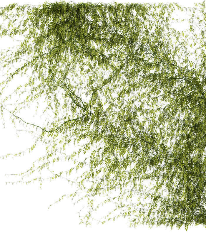 Set of 2 leaf patterns for walls or fences 3D model_1