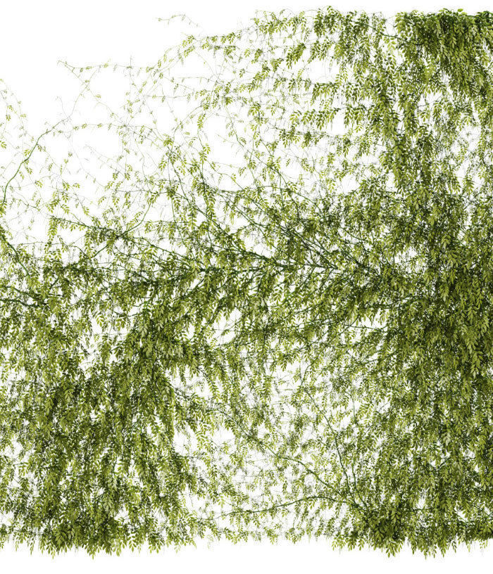 Set of 2 leaf patterns for walls or fences 3D model_4