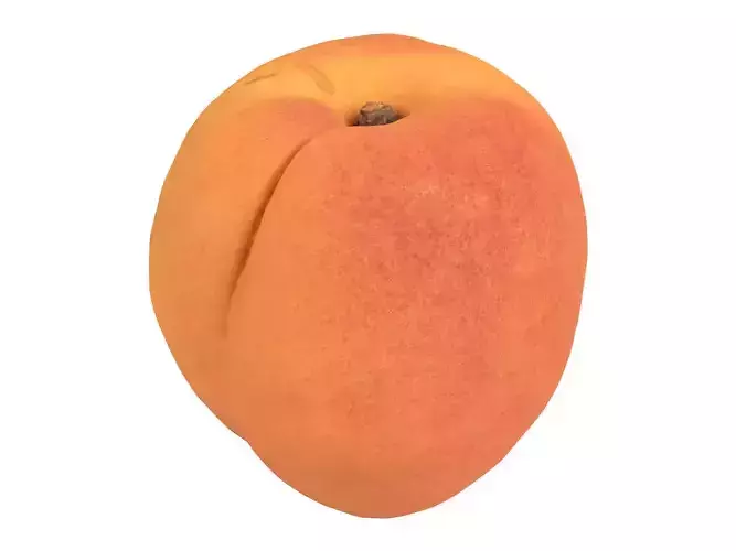 Photorealistic Apricot 3D Scan