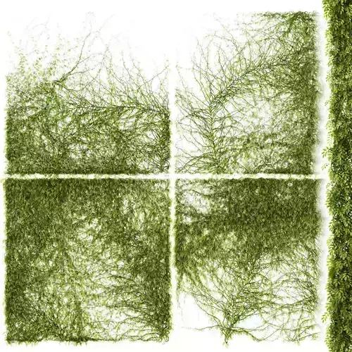 Set of 4 models of leaves for walls or fences