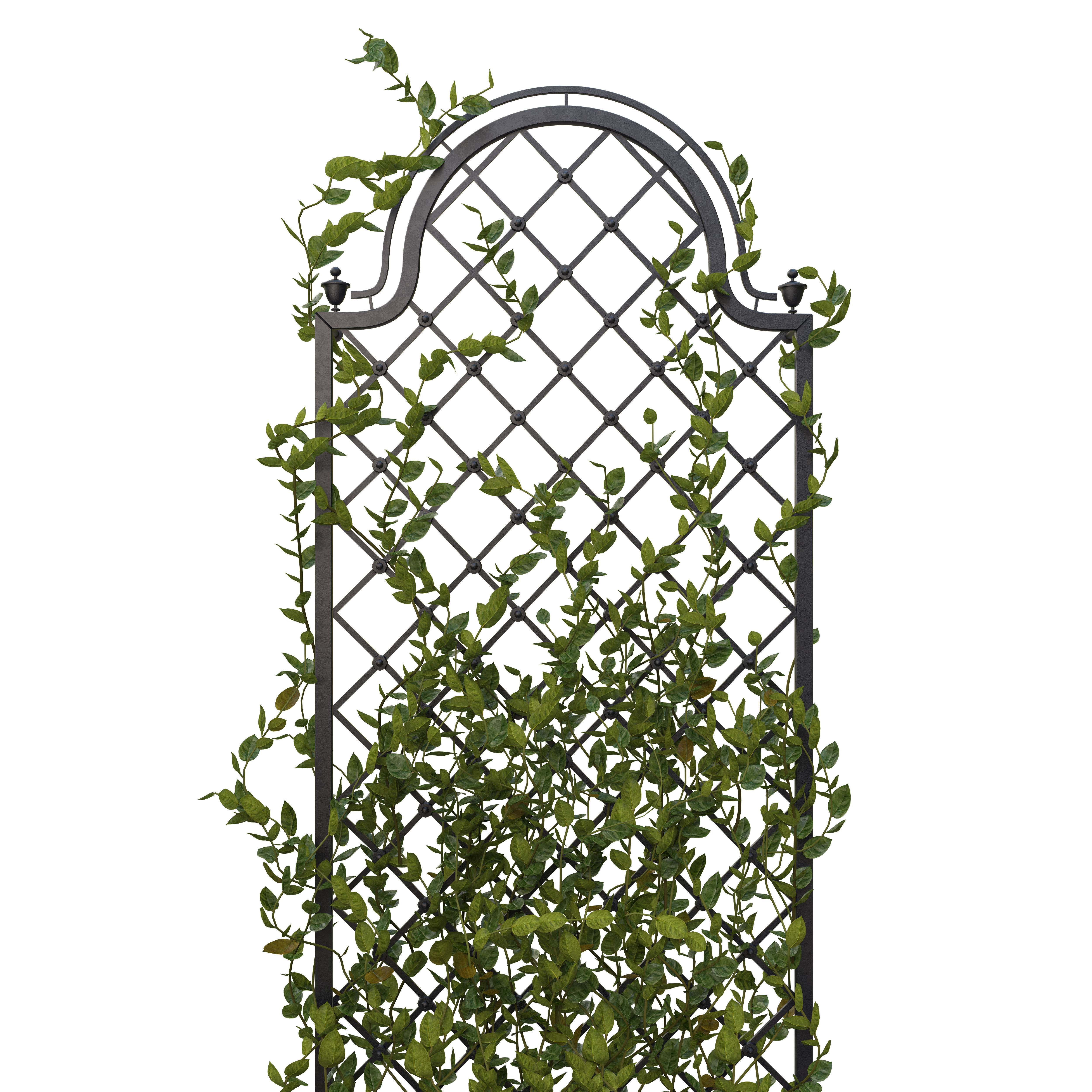 Pergola with flowers 3D model_3