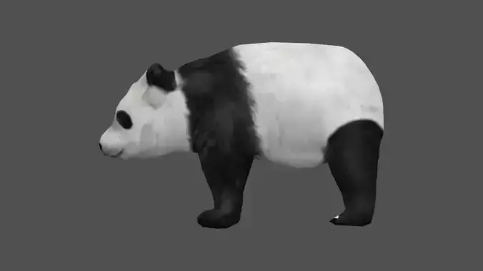 Panda bear Low-poly 3D model