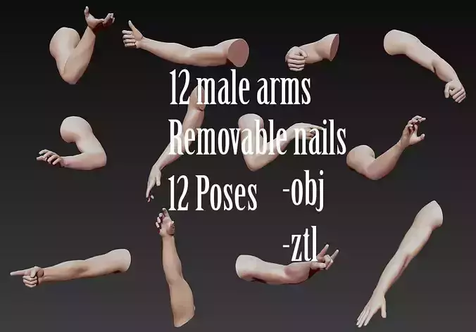 12 Male Arms 3D model