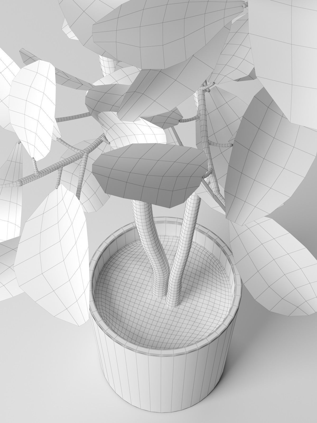 Citrus Tree in Pot 3 3D model_4