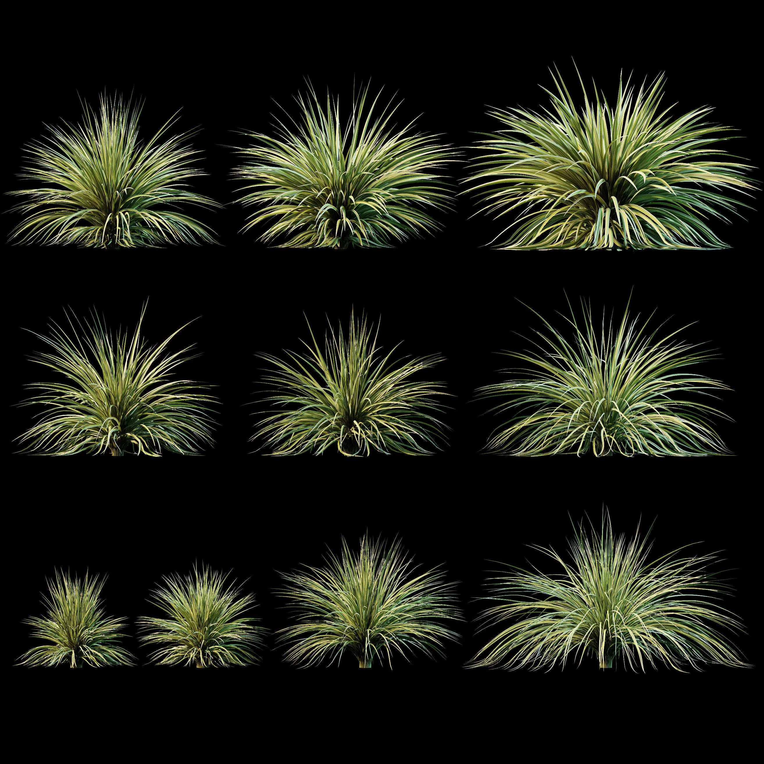 Yucca plant for the exterior 10 models 3D model_0