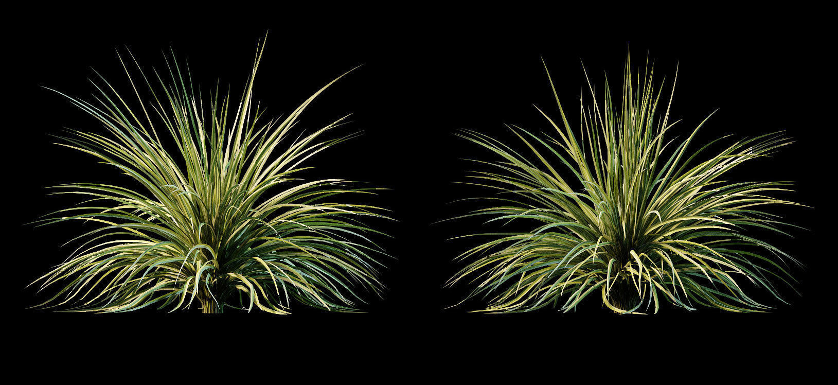 Yucca plant for the exterior 10 models 3D model_1