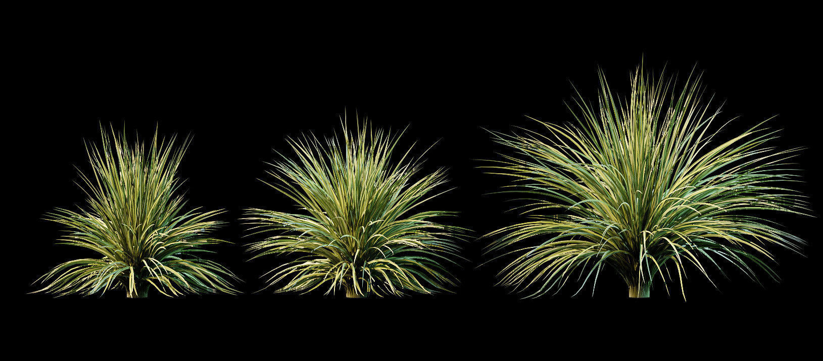 Yucca plant for the exterior 10 models 3D model_3