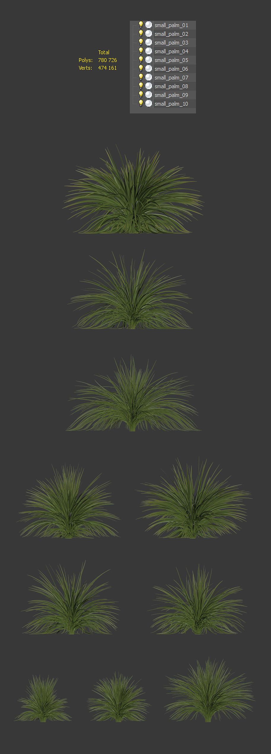 Yucca plant for the exterior 10 models 3D model_7