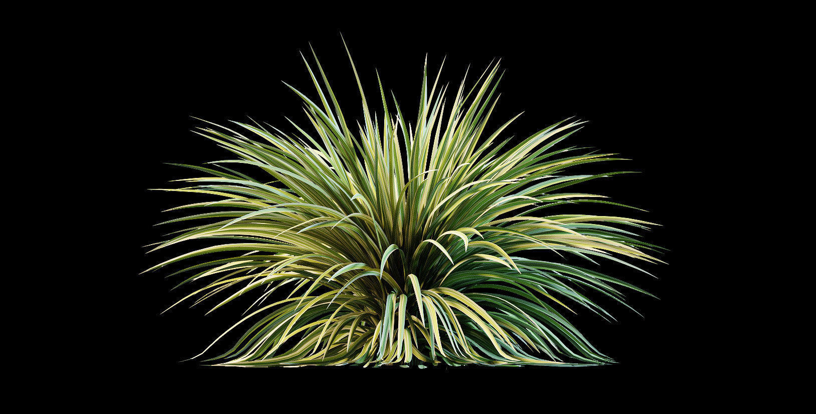 Yucca plant for the exterior 10 models 3D model_5