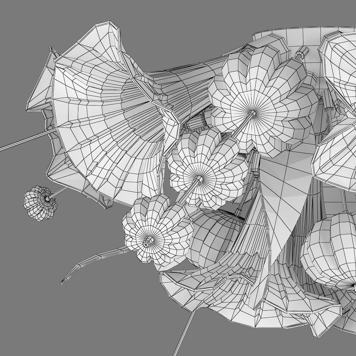 893 Celesta Lightstar Collection 3D model_13