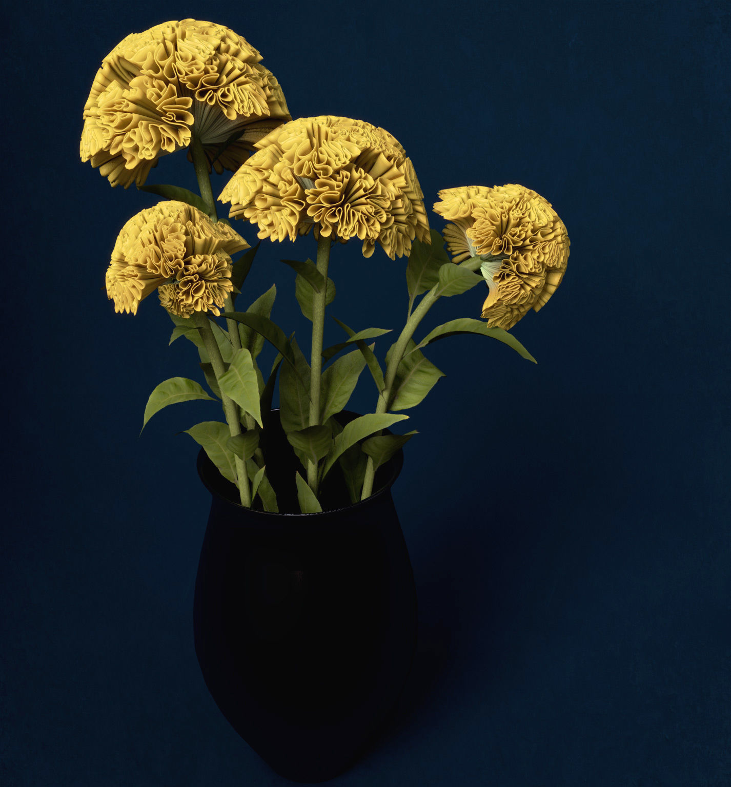 XfrogPlants Coxcomb 3D model_5