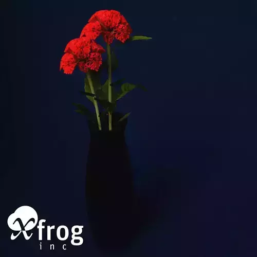 XfrogPlants Coxcomb 3D model