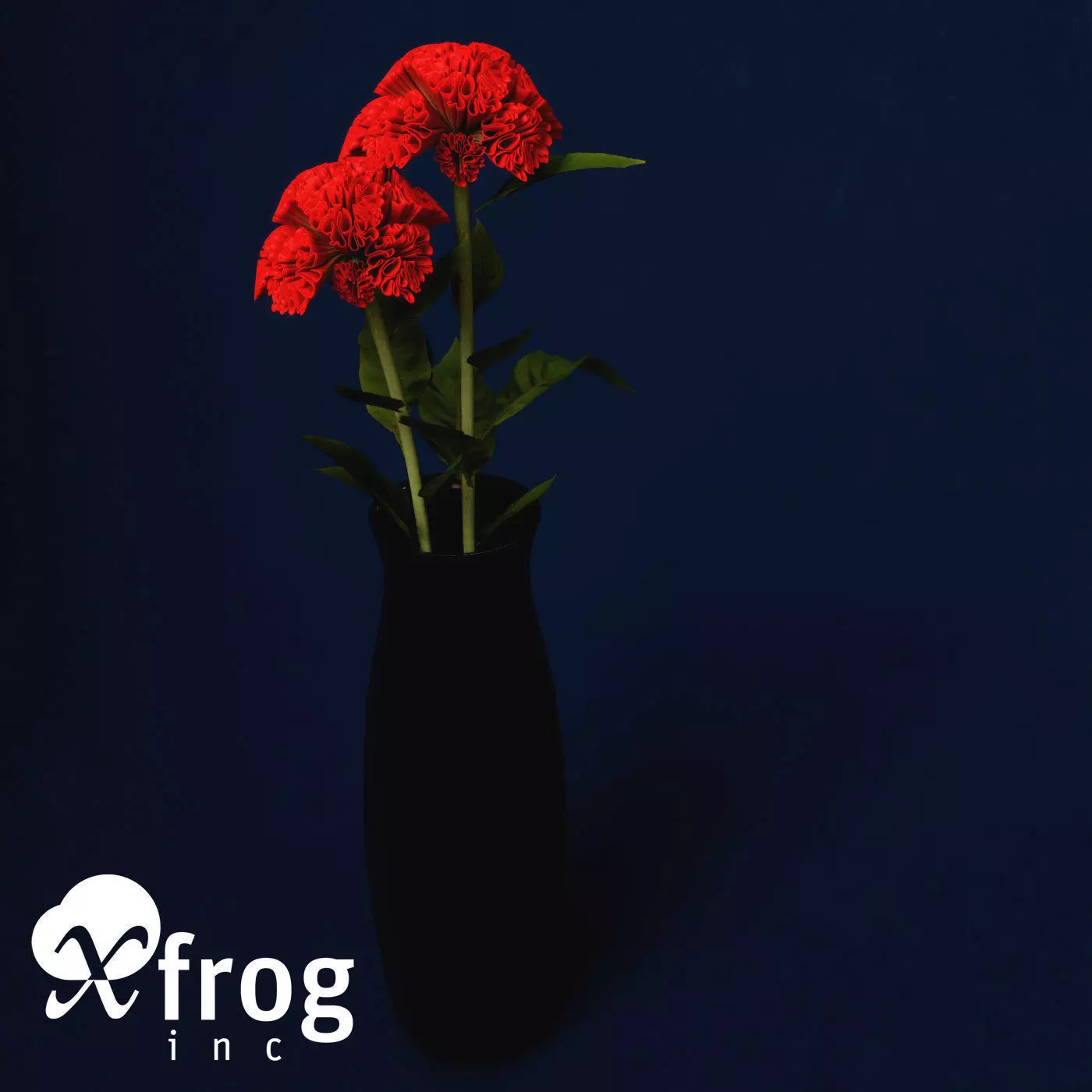 XfrogPlants Coxcomb 3D model_0