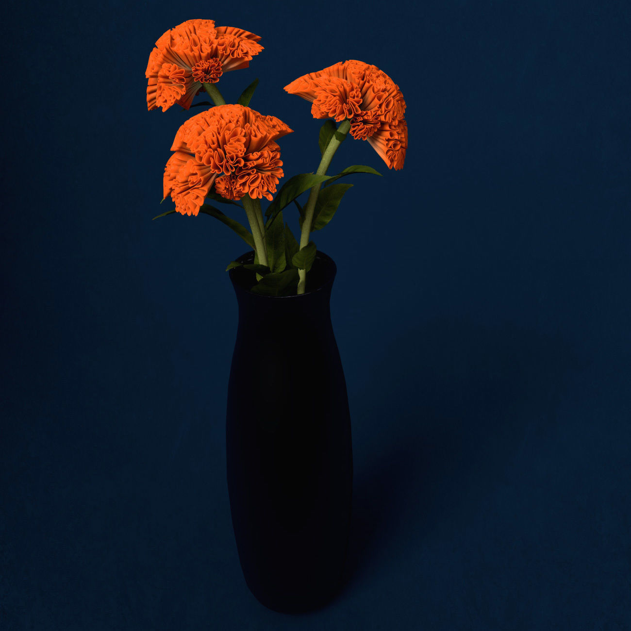 XfrogPlants Coxcomb 3D model_1