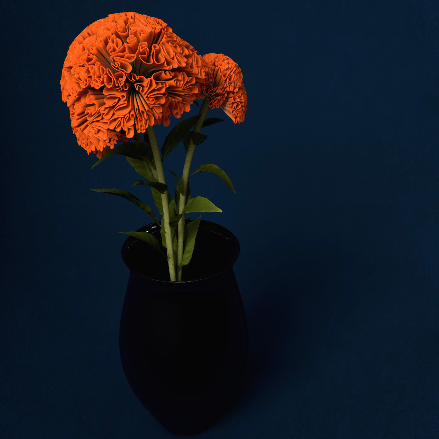 XfrogPlants Coxcomb 3D model_2