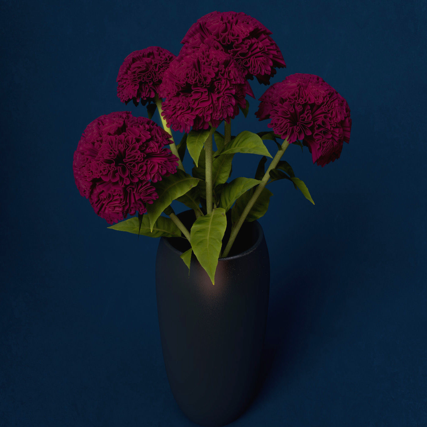 XfrogPlants Coxcomb 3D model_8