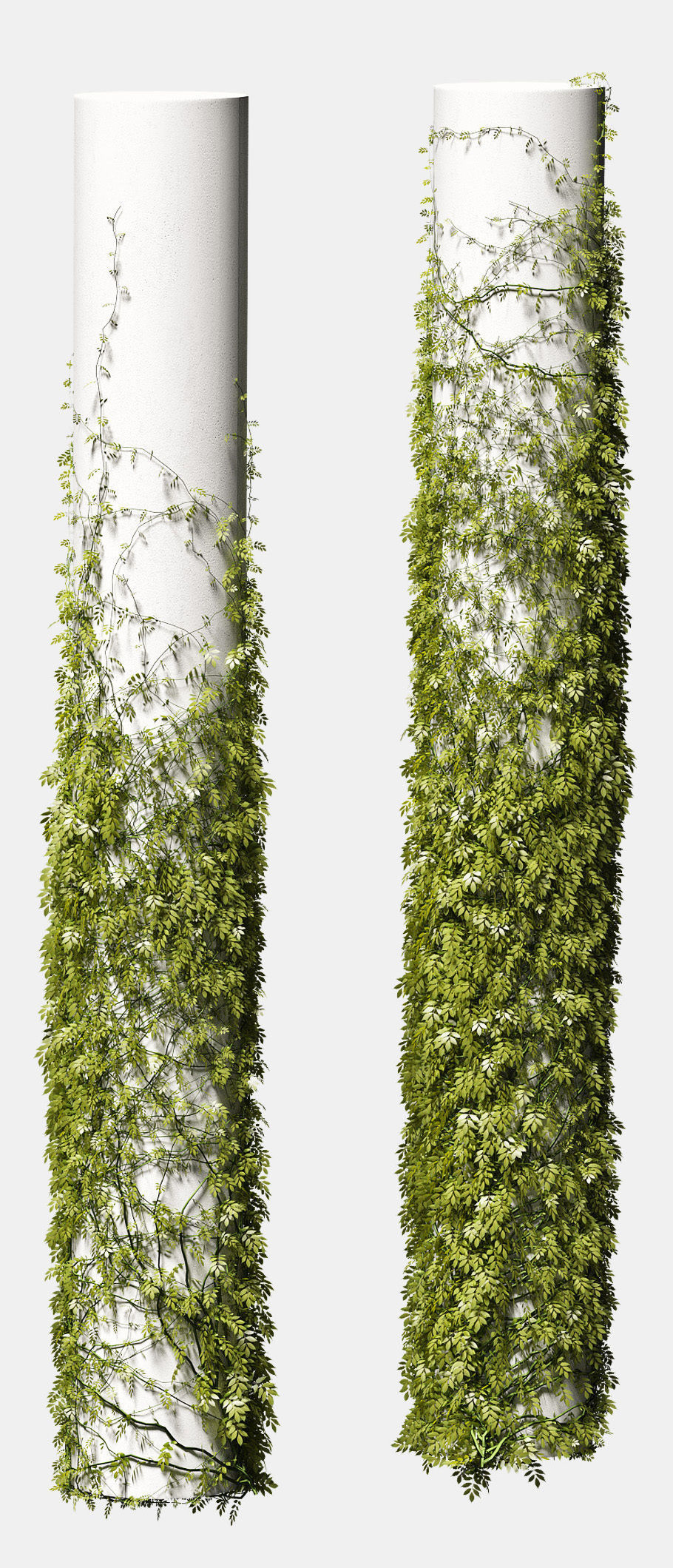 Leaves for round columns 3D model_2