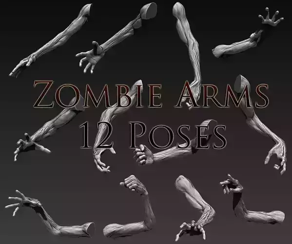 Zombie Arms 12 Poses 3D model