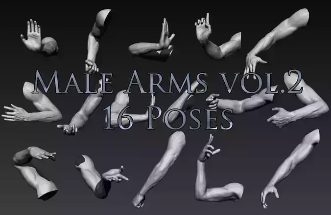 Male Arms Vol2 16 Poses 3D model