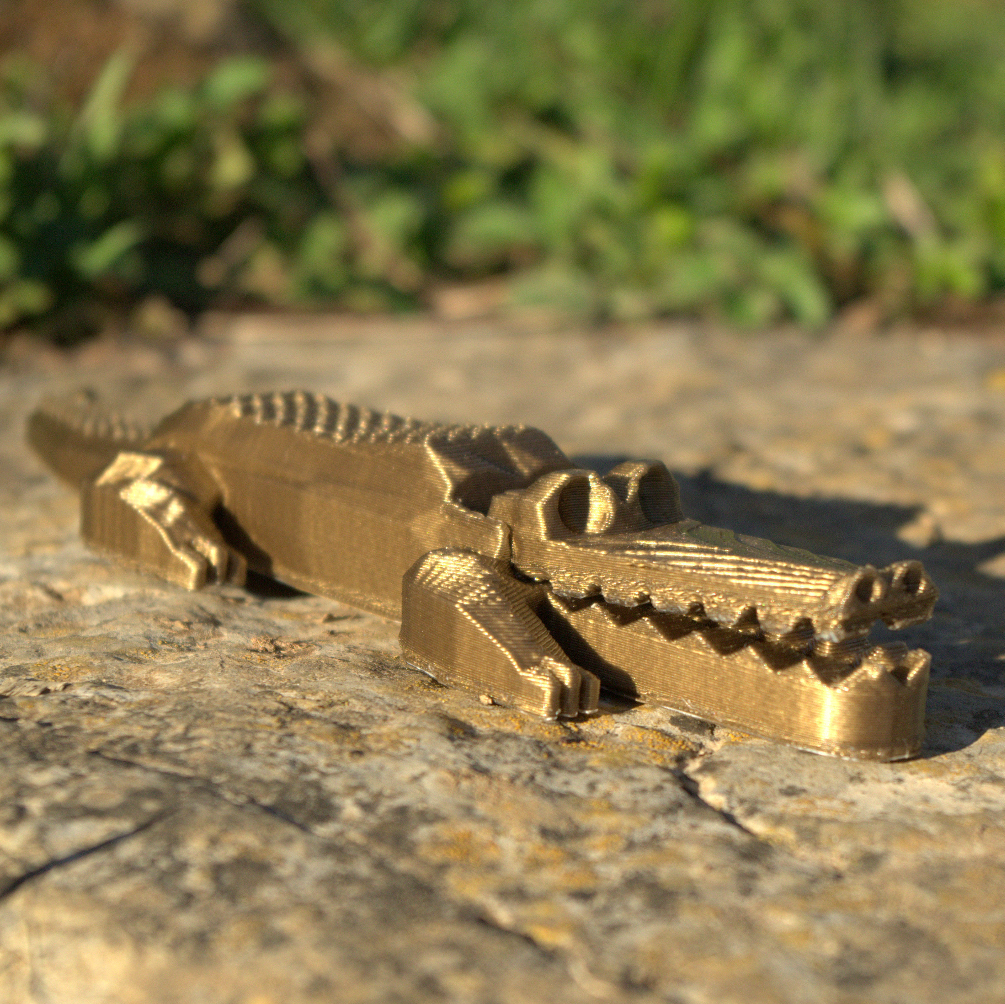 Pretty crocodile 3D print model_1