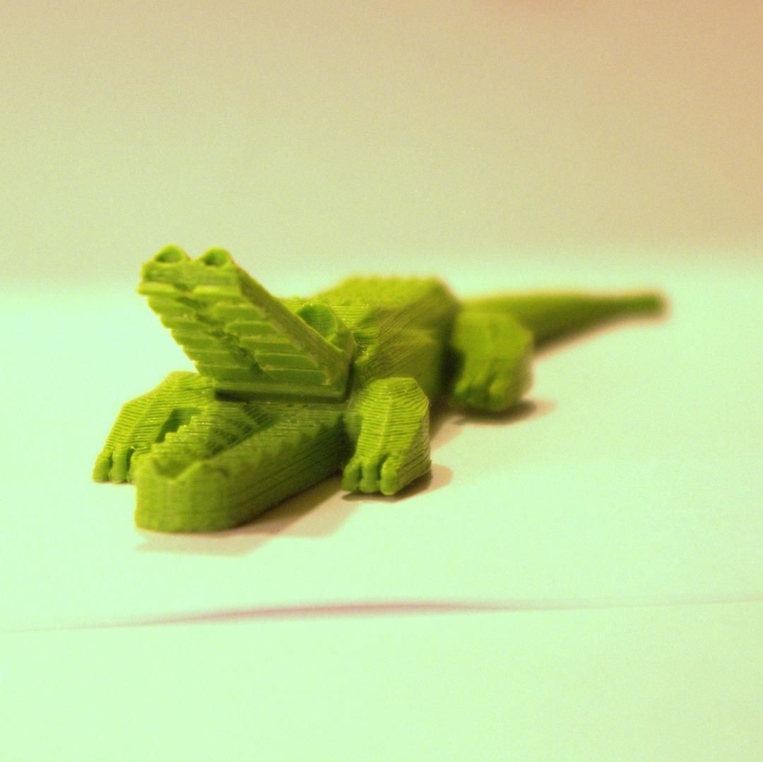 Pretty crocodile 3D print model_2