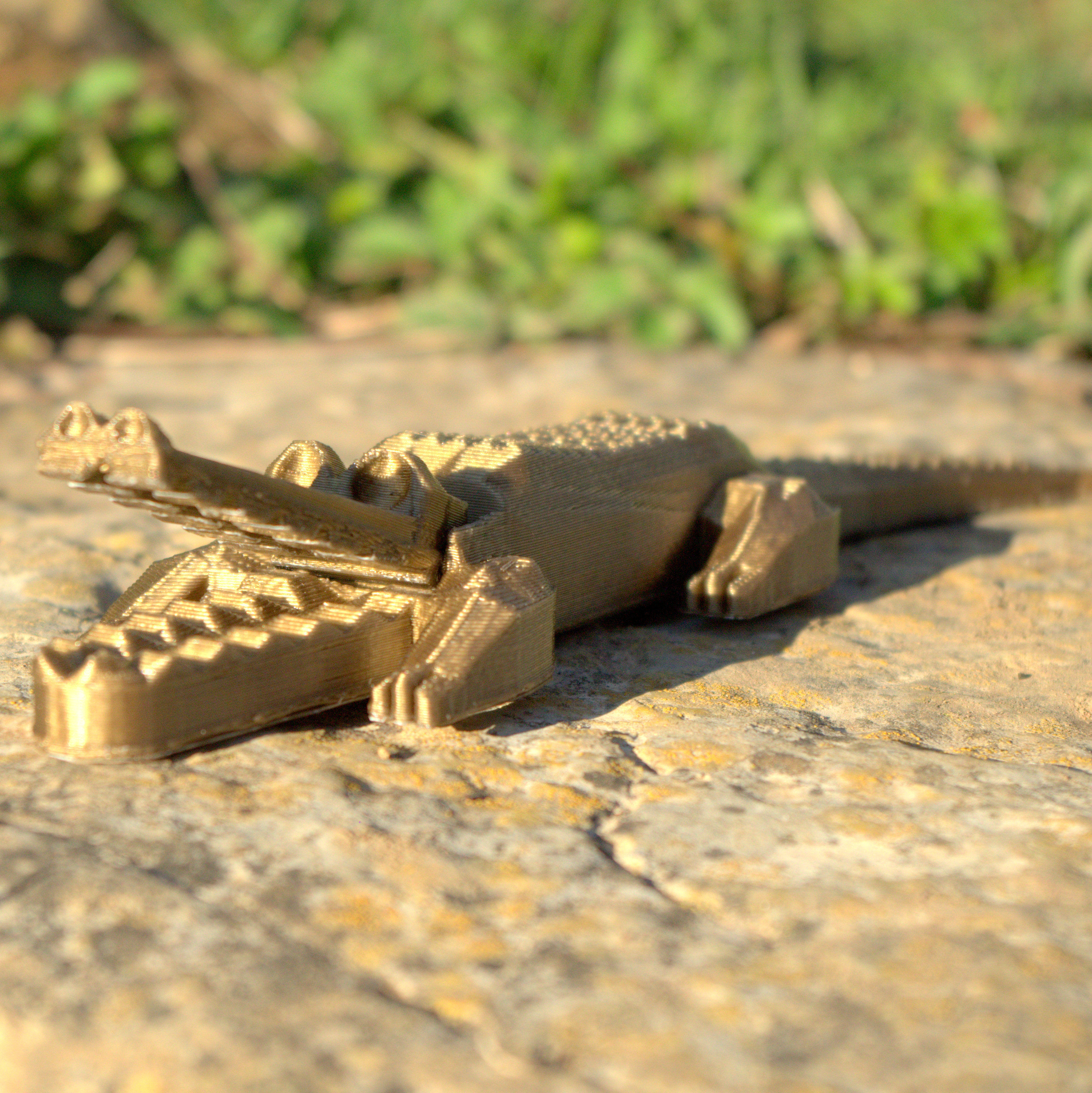 Pretty crocodile 3D print model_3