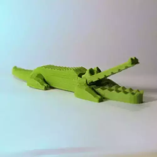 Pretty crocodile