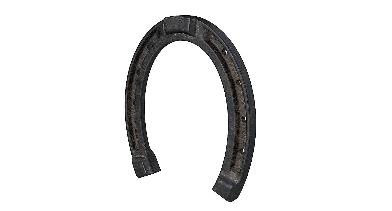 Horseshoe 3D model_2