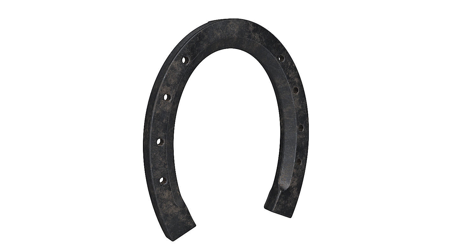 Horseshoe 3D model_3