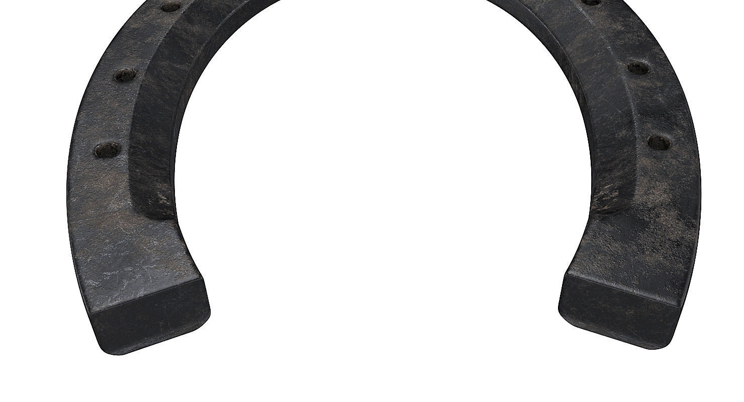 Horseshoe 3D model_9