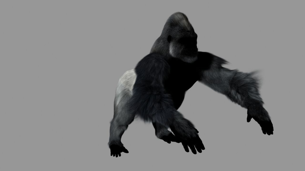 Gorilla 3D model_6