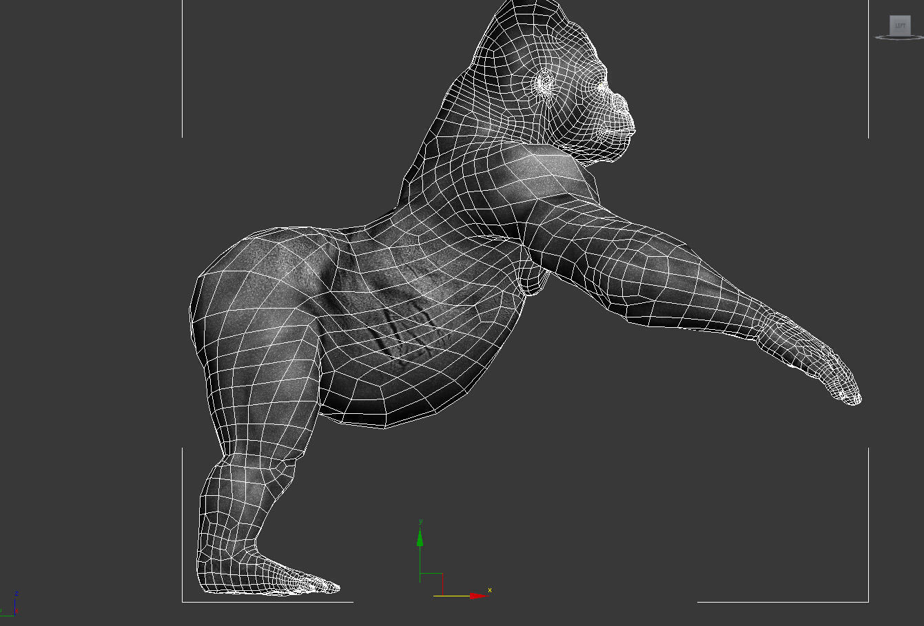 Gorilla 3D model_12