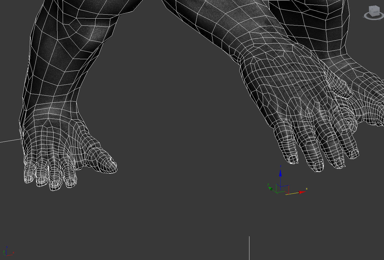 Gorilla 3D model_16
