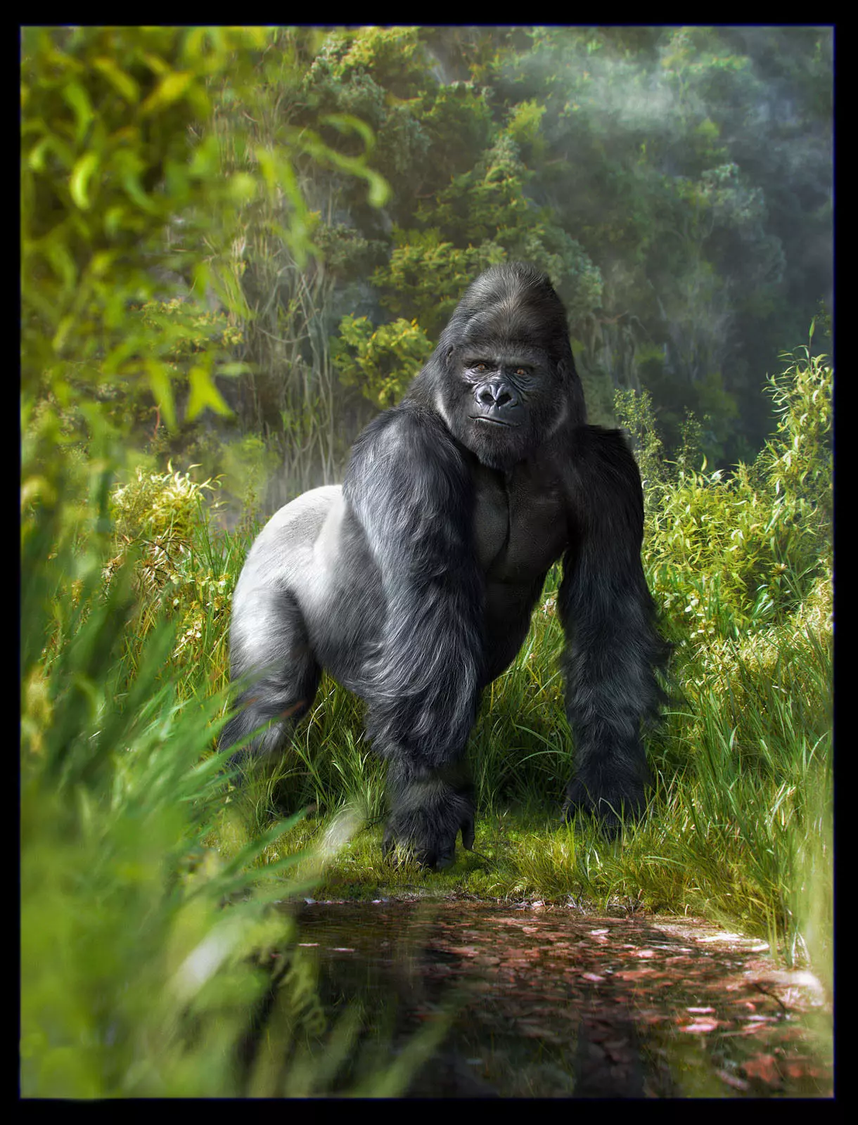 Gorilla 3D model_0