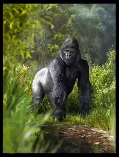 Gorilla 3D model
