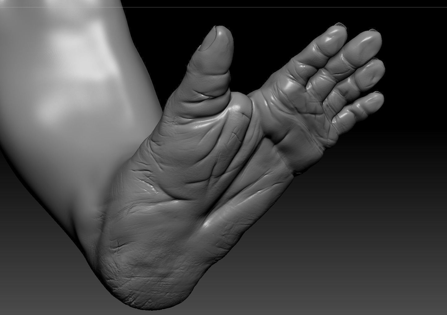 Gorilla 3D model_7