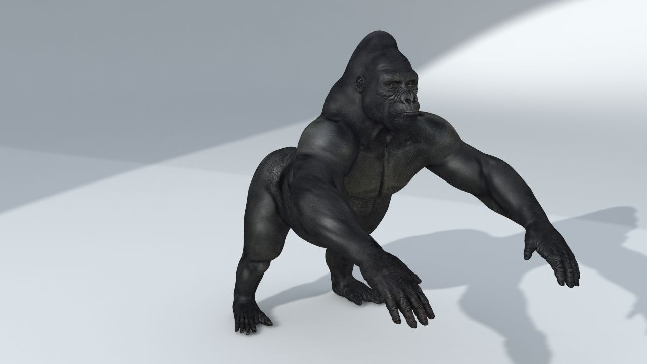 Gorilla 3D model_23
