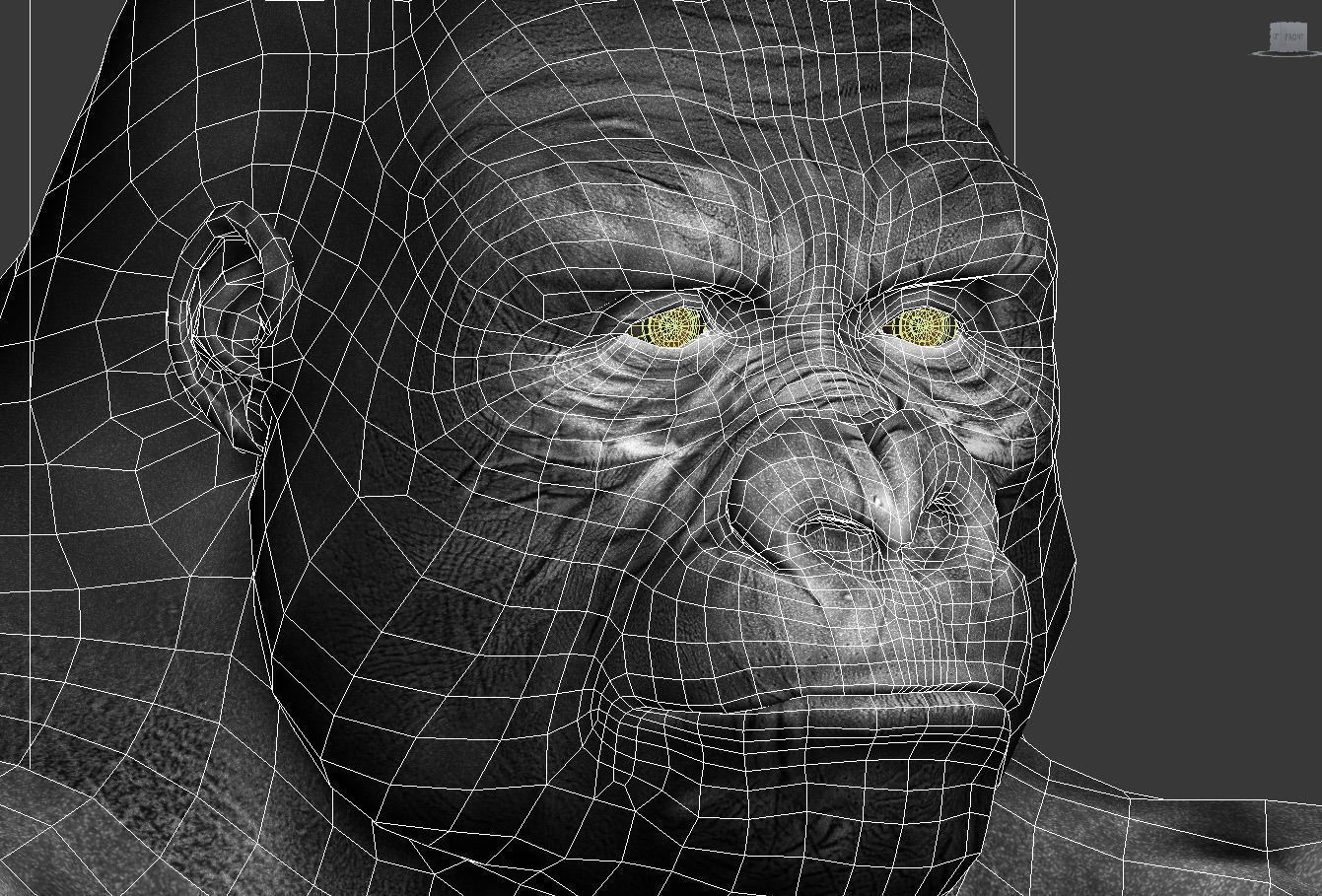 Gorilla 3D model_15
