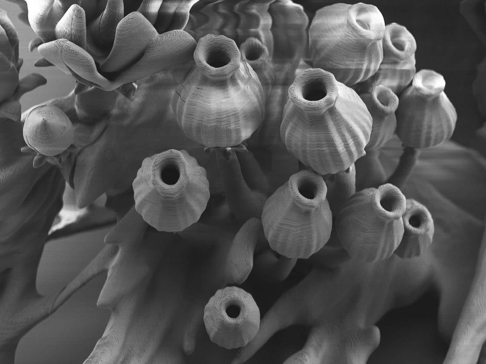 Alien plant collection 3D print model_19