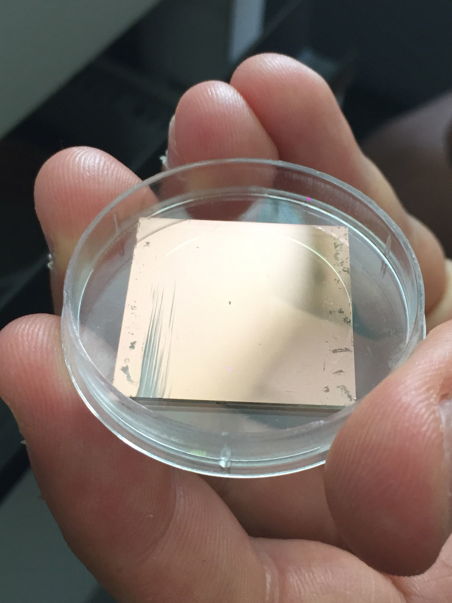 Alien plant collection 3D print model_18