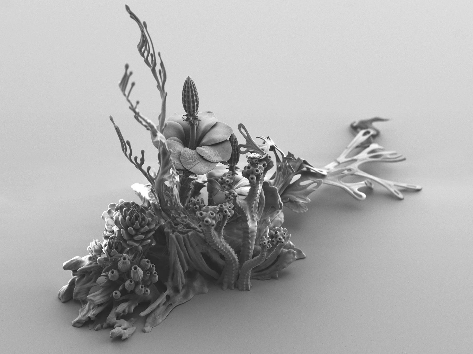 Alien plant collection 3D print model_27