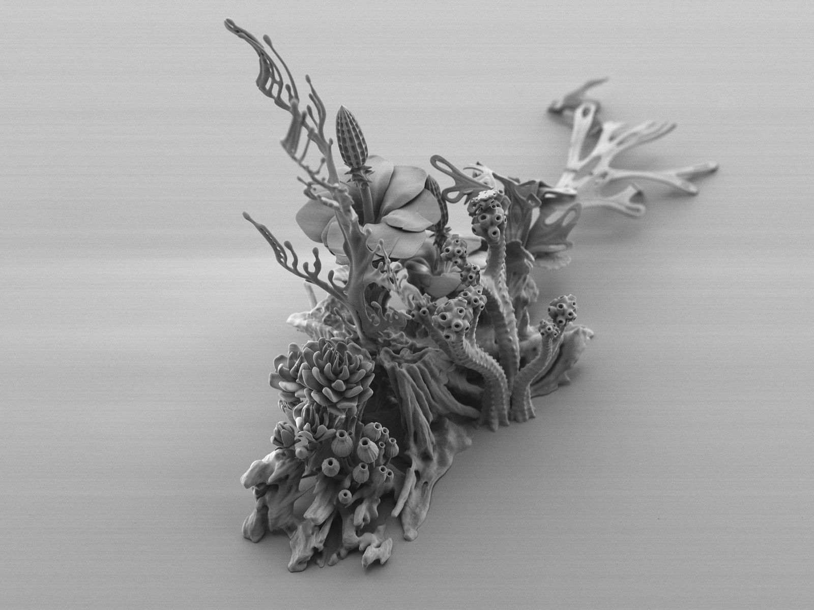 Alien plant collection 3D print model_17