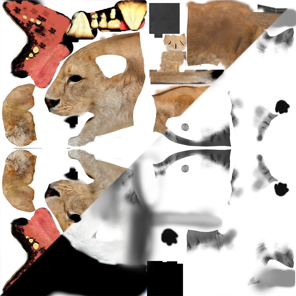 Lion animation 3D model_4