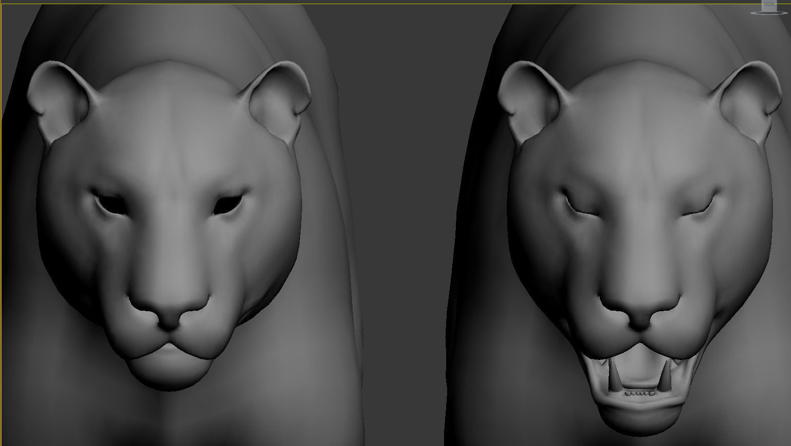 Lion animation 3D model_7
