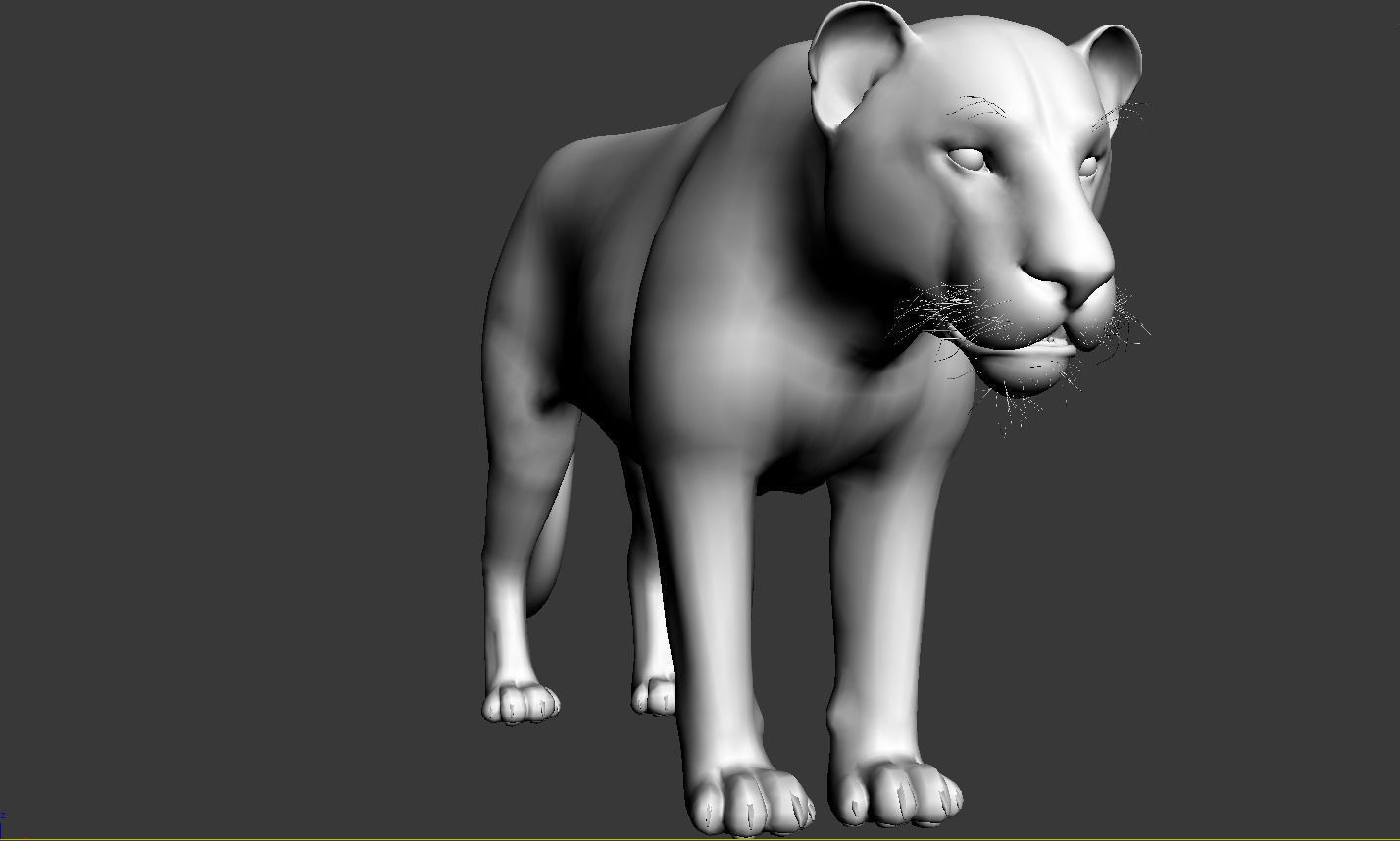 Lion animation 3D model_1