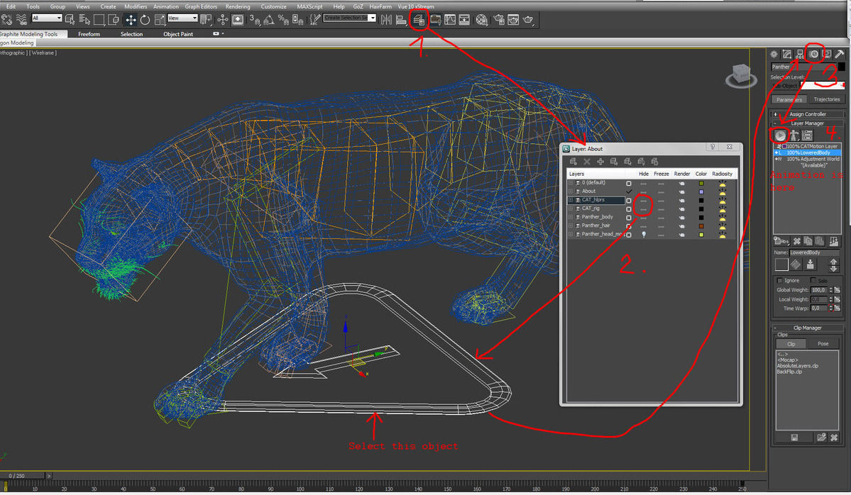 Lion animation 3D model_8