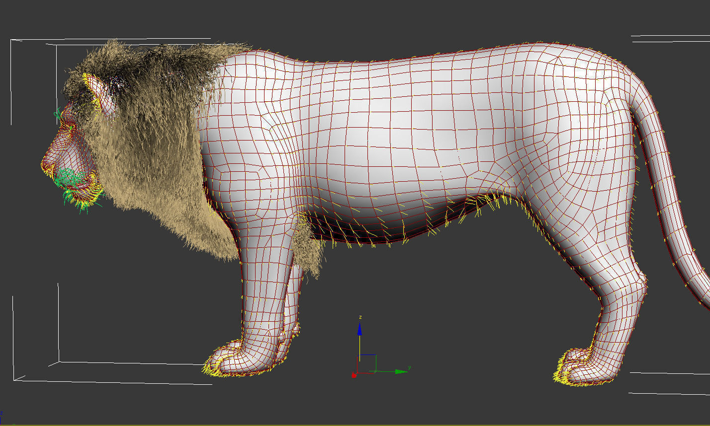 Lion animation 3D model_3