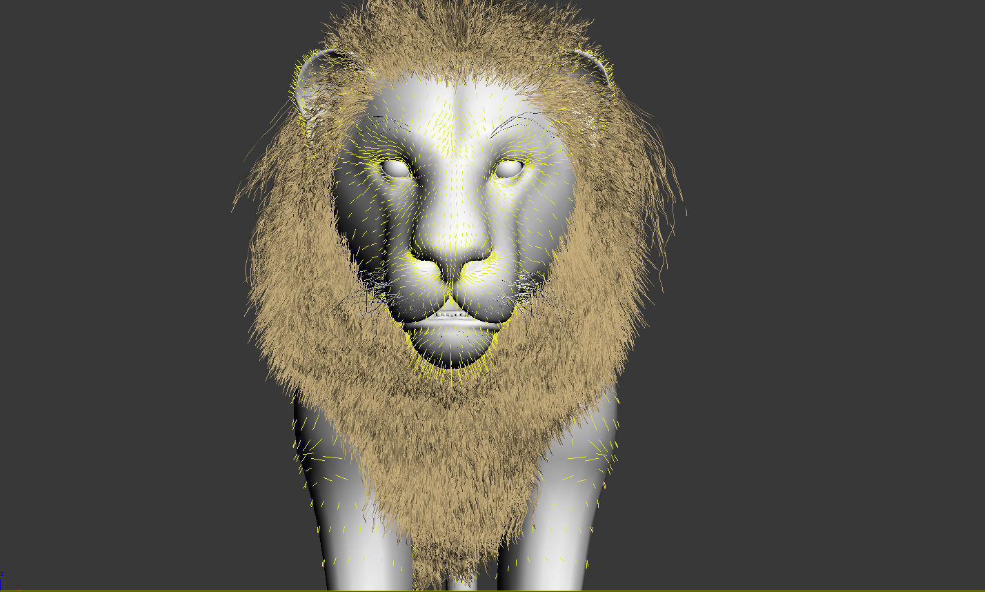 Lion animation 3D model_2