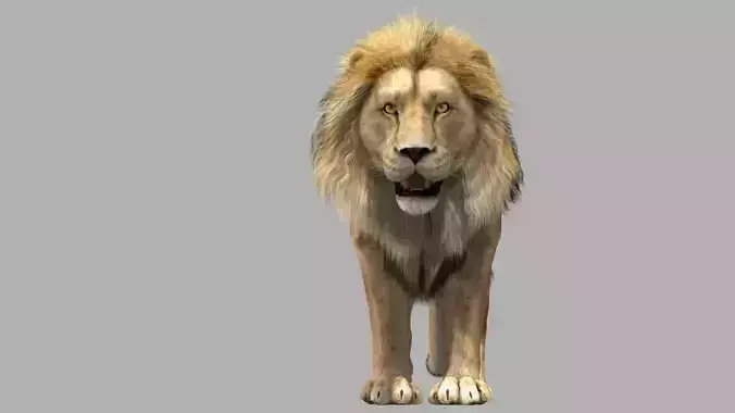 Lion animation 3D model