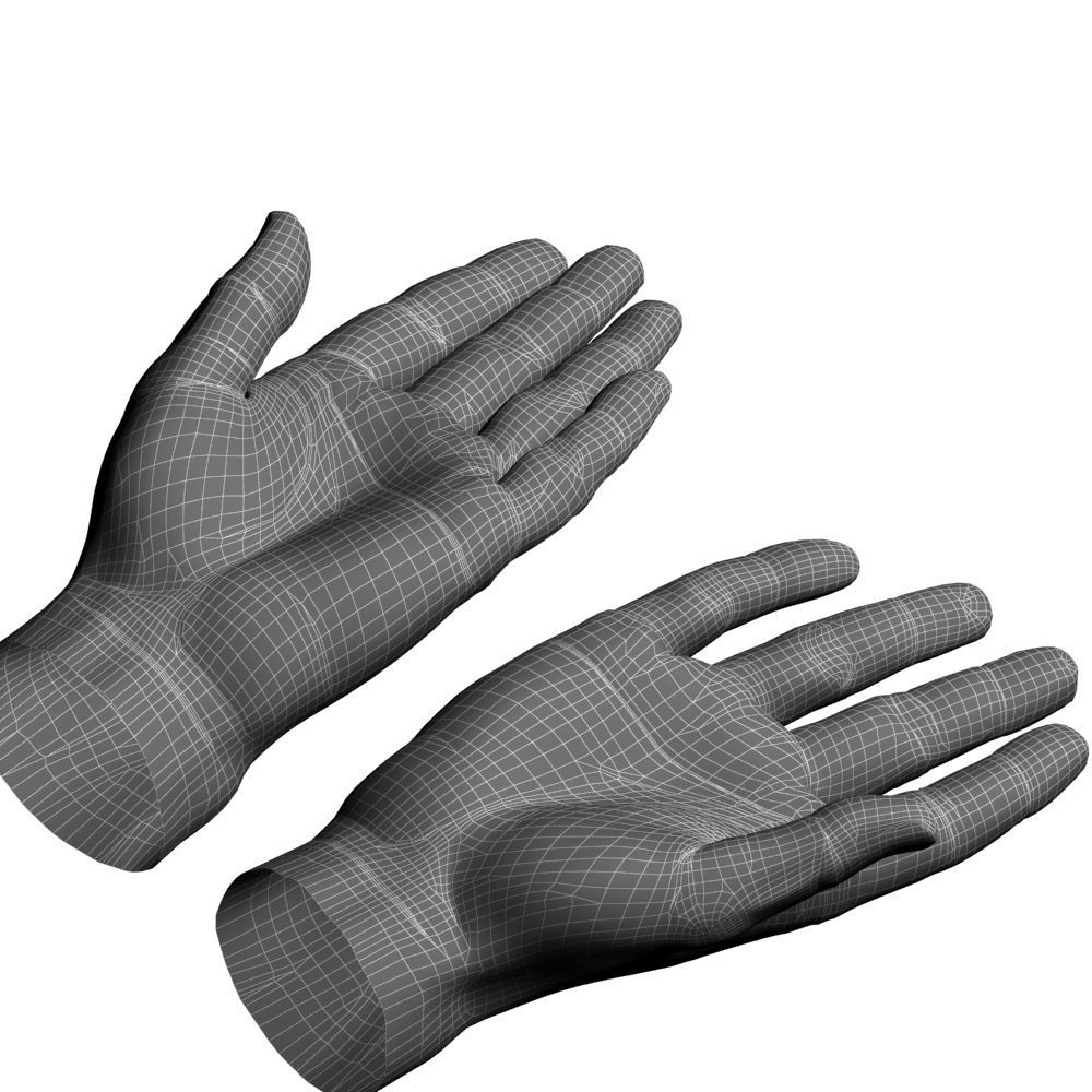 hands flat out 3D model_15